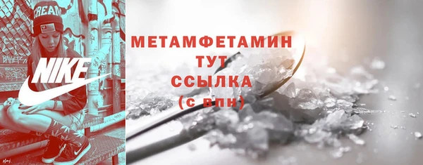 прущие грибы Гусиноозёрск
