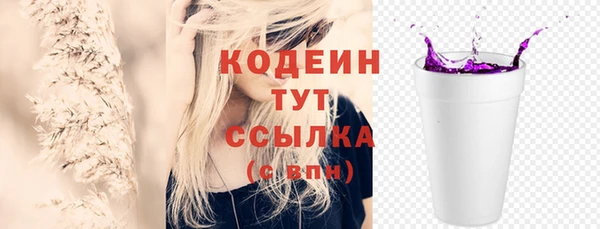 индика Гусь-Хрустальный