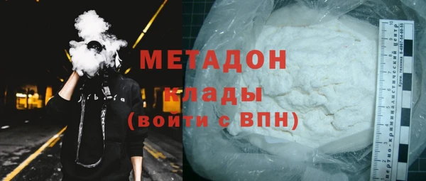 индика Гусь-Хрустальный