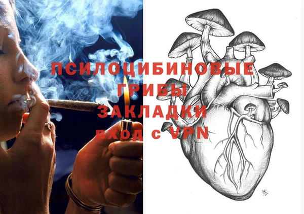 прущие грибы Гусиноозёрск