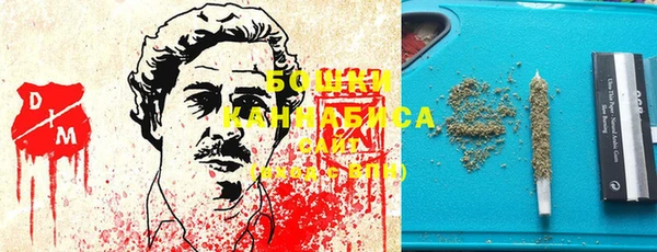 прущие грибы Гусиноозёрск