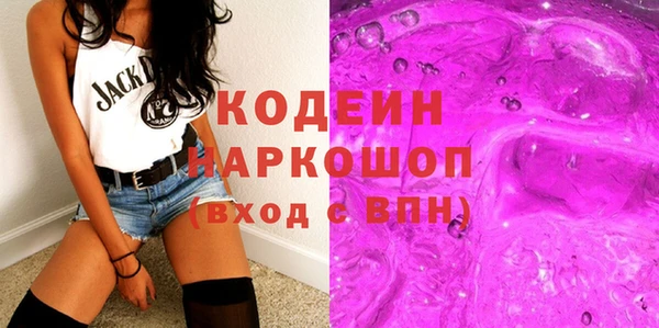 индика Гусь-Хрустальный