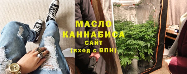 сатива Гусев