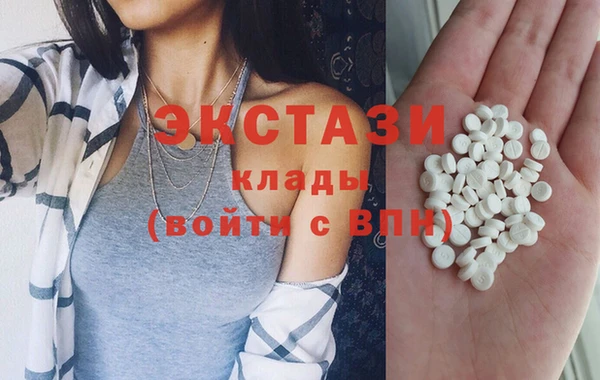 прущие грибы Гусиноозёрск