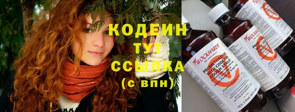 индика Гусь-Хрустальный