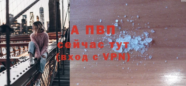 индика Гусь-Хрустальный