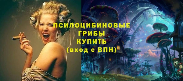 твердый Горно-Алтайск