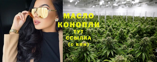 индика Гусь-Хрустальный
