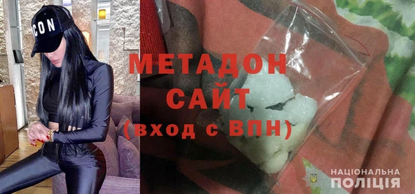 прущие грибы Гусиноозёрск