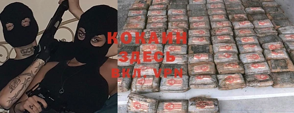 стафф Вяземский