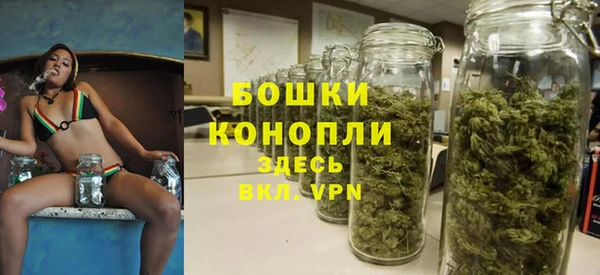 прущие грибы Гусиноозёрск