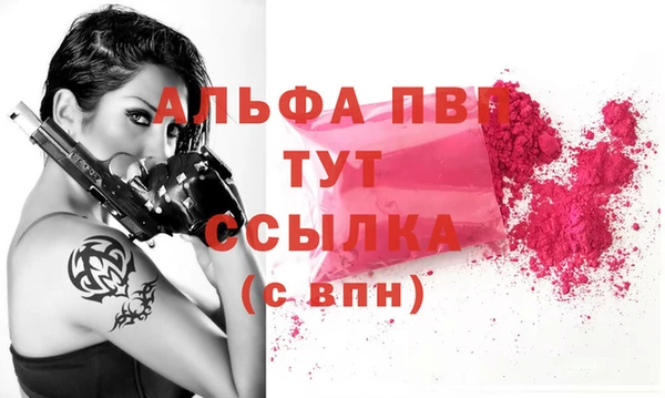 прущие грибы Гусиноозёрск