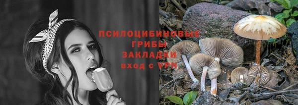 прущие грибы Гусиноозёрск
