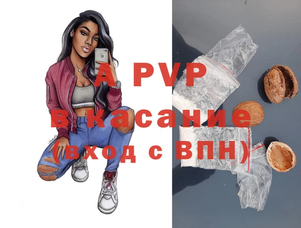 индика Гусь-Хрустальный