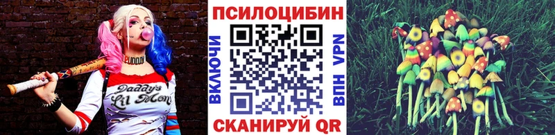 наркота  Конаково  Псилоцибиновые грибы мухоморы 
